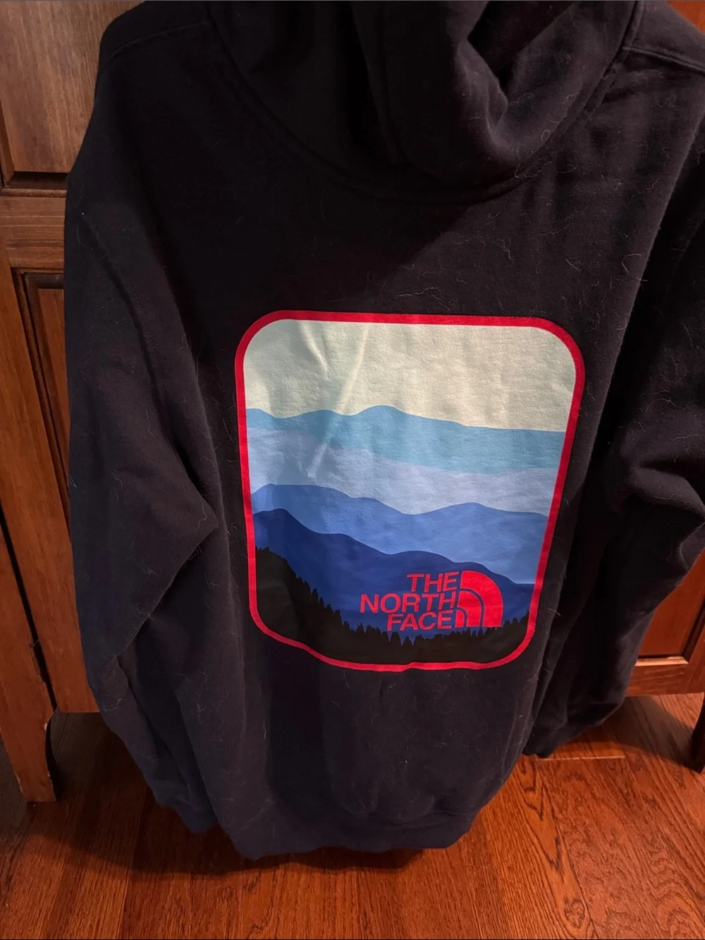 The North Face Blue Hoodie with Red Chest Logo